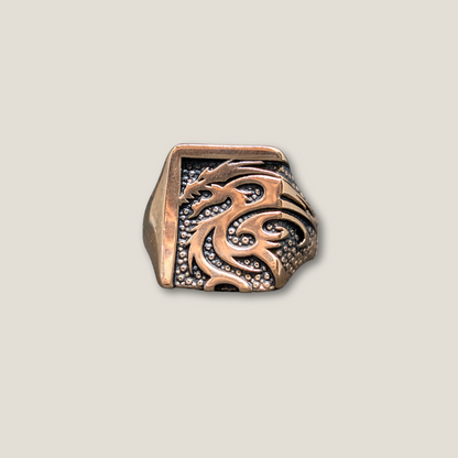 Dragonfire Legacy: Forged in Stainless Steel