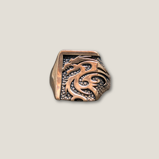 Dragonfire Legacy: Forged in Stainless Steel